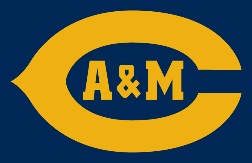 A&M-Commerce Lions 2000-2003 Helmet Logo diy DTF decal sticker